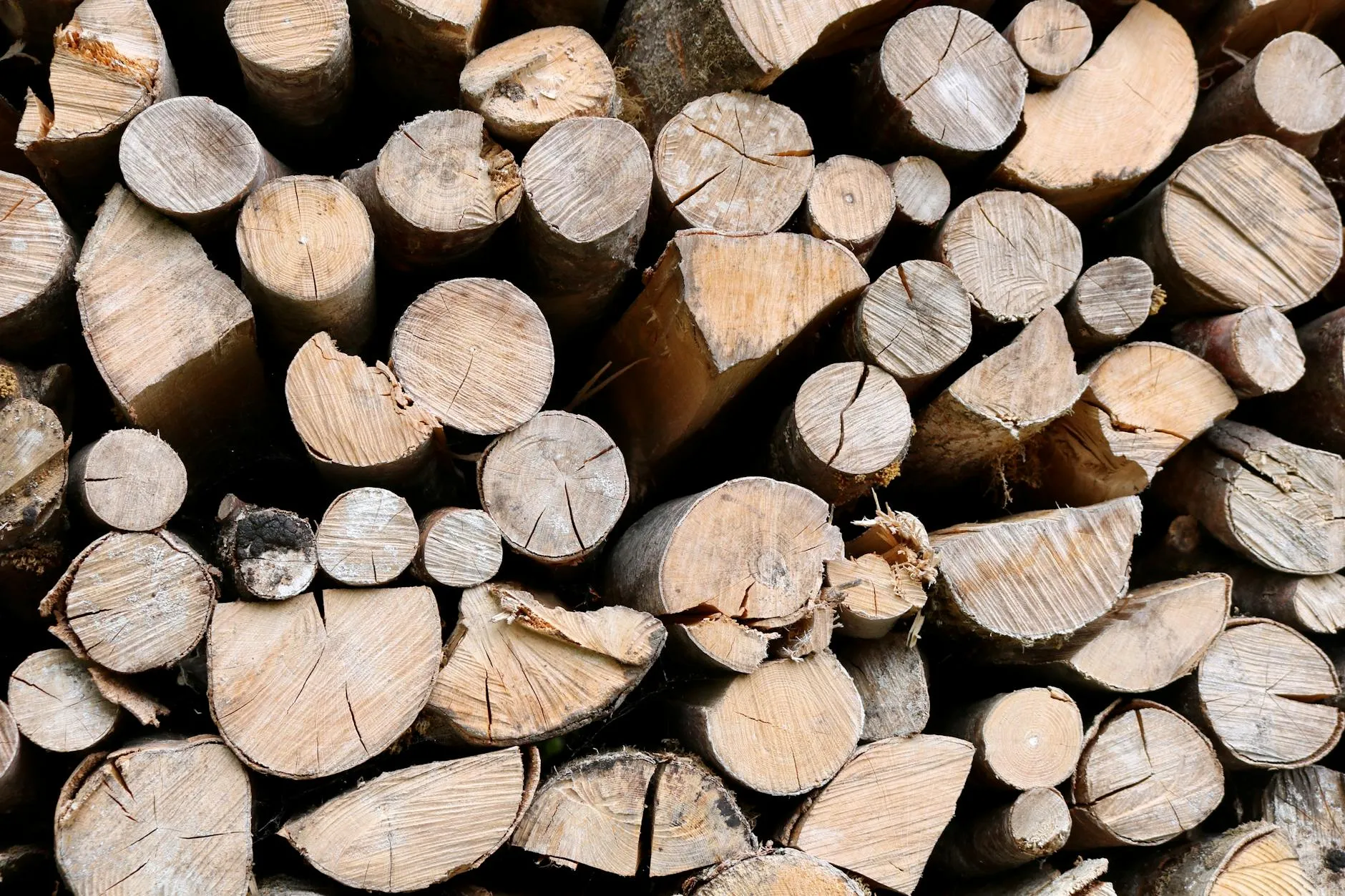 Lichte beukenhout-plank met fijne nerf